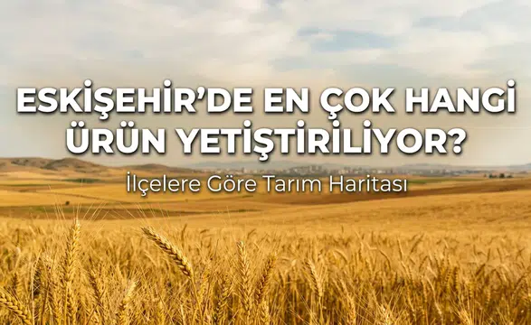 Eskişehir’de En Çok Hangi Ürün Yetiştiriliyor? İlçelere Göre Tarım Haritası
