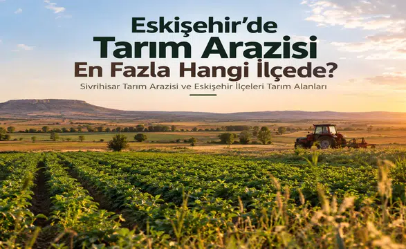 Eskişehir’de Hangi İlçede Daha Fazla Tarım Arazisi Bulunuyor?