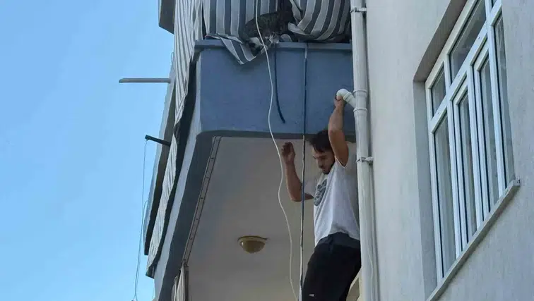 Antalya'da evini ateşe veren ev sahibi dehşet saçtı: Kiracı kediyi kurtarmak için alevlere daldı