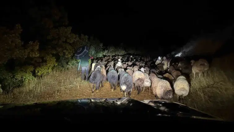 Karasaz köyünde mahsur kalan çoban ve 200 küçükbaş hayvan için seferberlik