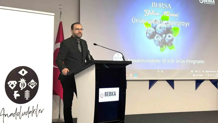 Bursa yaban mersininde stratejik hamle: Üretimden pazarlamaya yeni yol haritası