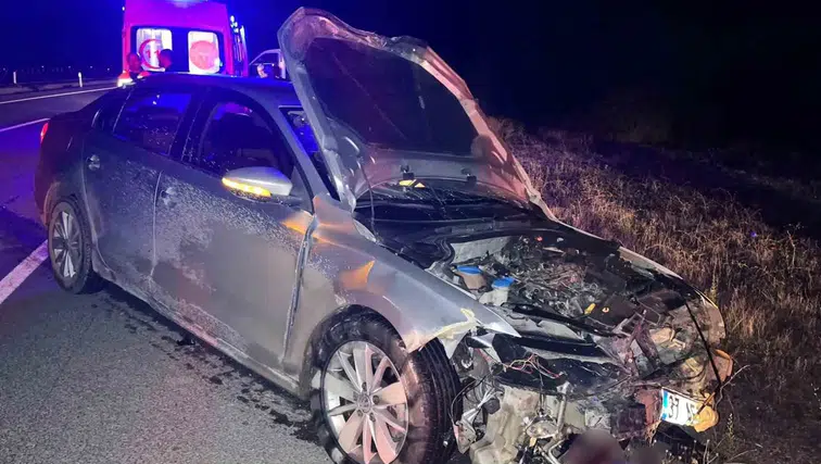 Kastamonu kara yolunda domuz sürüsü dehşeti: 2 yaralı ve 9 telef