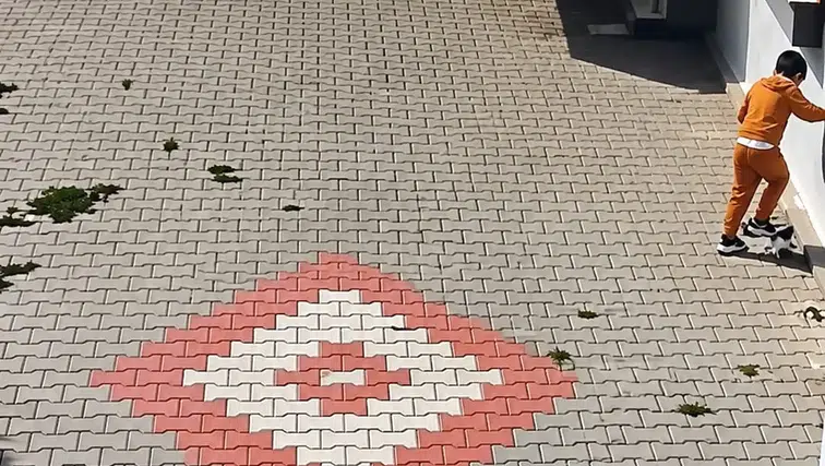 Bandırma'da bir çocuğun kediye uyguladığı şiddet güvenlik kamerasına yansıdı