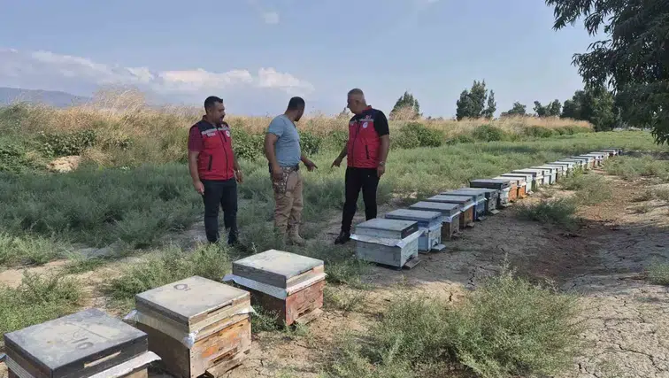 Antakya'da Bal Hasadı Sürüyor: Müdür Türkmen Üreticiyi Yalnız Bırakmadı