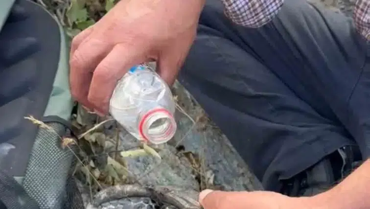 Elazığ'da alevlerin ortasında kalan kaplumbağaya vatandaş şefkati
