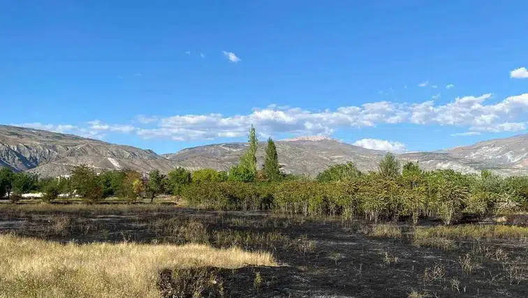 Erzincan'da tarım arazisinde çıkan anız yangını itfaiyenin hızlı müdahalesiyle durduruldu