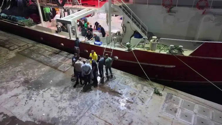 Denizlerde av yasağı sona erdi: Balıkçılar yeni sezon için ağlarını suya bıraktı
