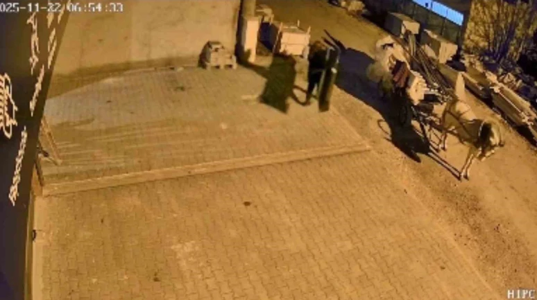 At arabalı hırsızlar aynı gün içinde yakalandı