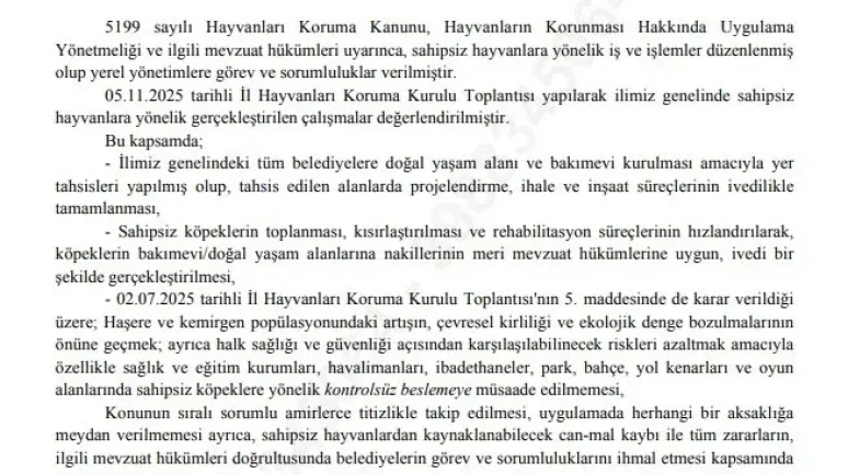 İstanbul Belediyesi’ne Yeni Talimat: Sokak Hayvanlarına Kontrolsüz Besleme Yasaklandı