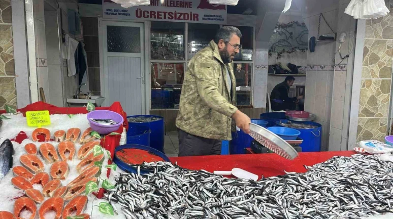 Balık pazarında hamsi revaçta