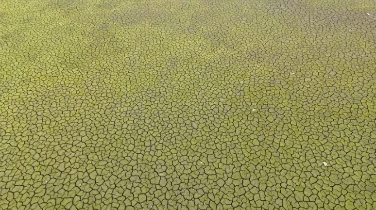 İstanbul barajlarında alarm seviyesi: Doluluk oranı yüzde 18’e geriledi