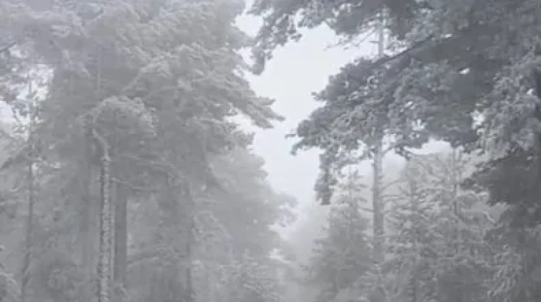 Eskişehir’e Mevsimin İlk Karı Düştü: Mihalıççık Beyaza Büründü!