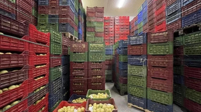 Osmaneli’nde Soğuk Hava Deposu Tam Kapasite Hizmet Veriyor