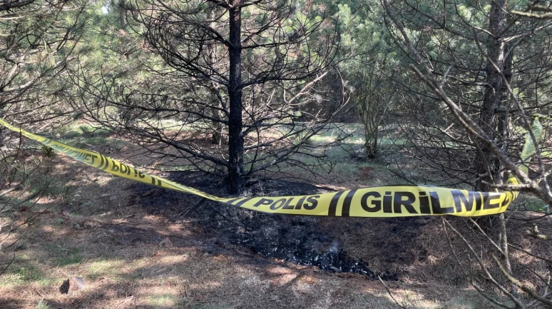 Eskişehir’de Kayıp Kadın Ormanlık Alanda Yanmış Halde Bulundu: 1 Kişi Tutuklandı