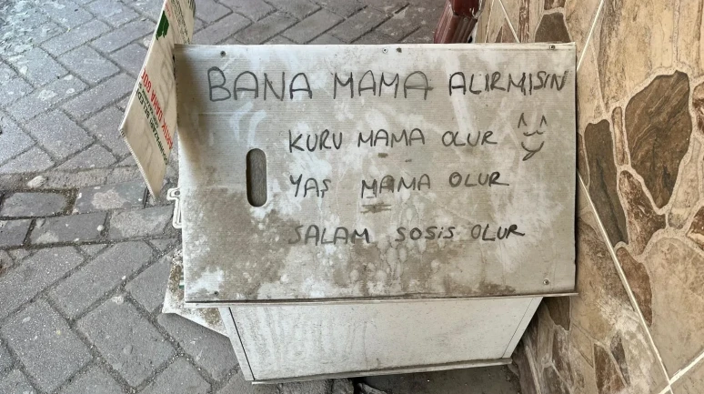 Eskişehirli vatandaşlara kedi evinden mesaj