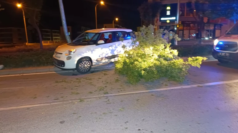 Süratli Otomobil Refüje Daldı: Sürücü Yaralıları Bırakıp Kaçtı