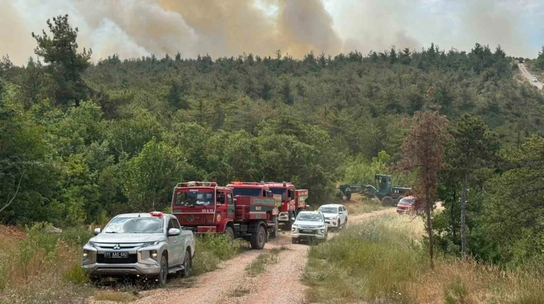 Tahliyeye Neden Olan Yangın Söndü, Köylüler Dönüyor