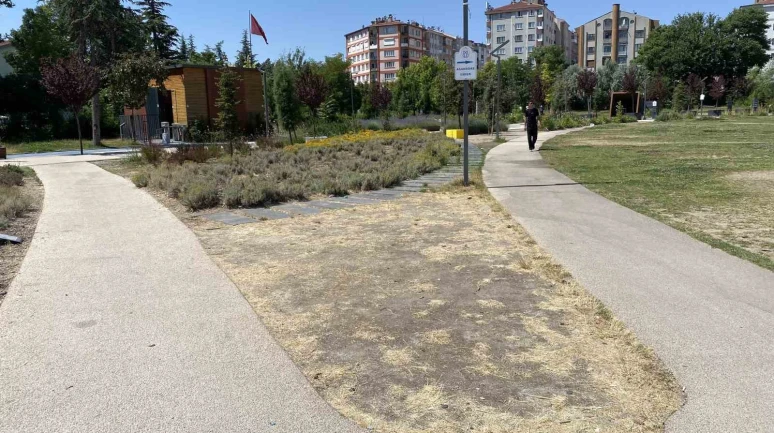 Bakım Yapılmadı, Çimler Kurudu: Recep Tayyip Erdoğan Millet Bahçesi Toprak Oldu