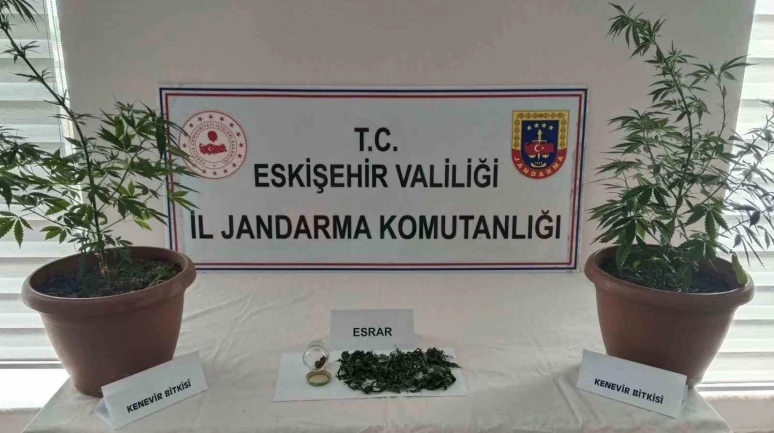 Balkondaki Saksılardan Kenevir ve Esrar Çıktı: Eskişehir’de Bir Şüpheliye Soruşturma