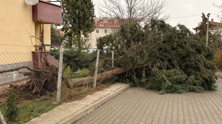 Eskişehir 75. Yıl Mahallesi Fırtınayla Zarar Gördü