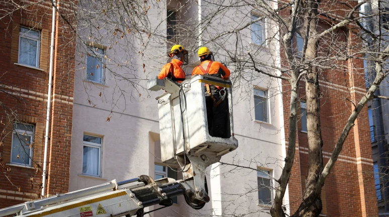 Eskişehir’de Ağaçlar Kışa Hazırlanıyor: Budama Çalışmaları Başladı