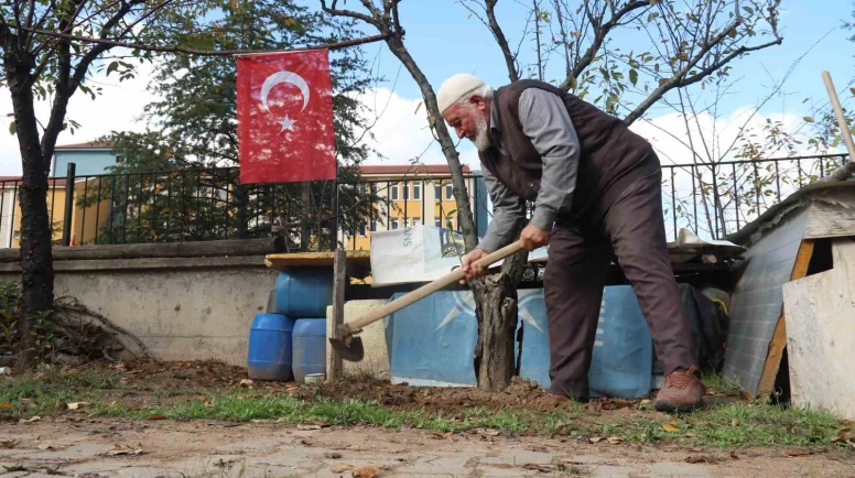 90 yaşındaki yaşlı adam çöplüğü elleriyle su taşıyarak şehitler için fidanlığa çevirdi