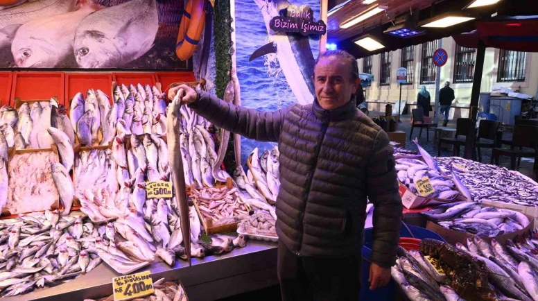 Yılan balığı balık tezgahlarında yerini aldı