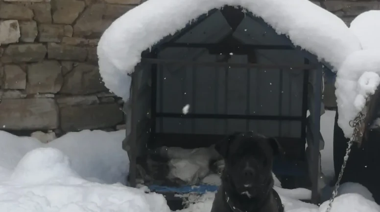 Eskişehir’in O İlçesi Karla Kaplandı, Kar 35 Santimetreyi Aştı