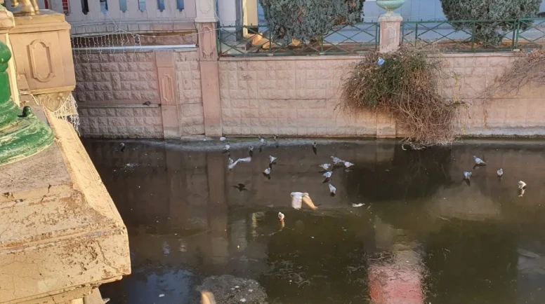 Porsuk Çayı Dondu, Güvercinler Üzerinde Gezindi