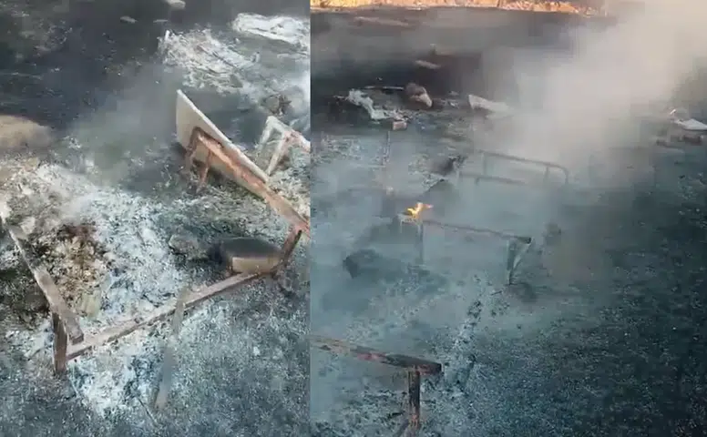 Mahmudiye’de 19 Arı Kovanı Yangında Kül Oldu