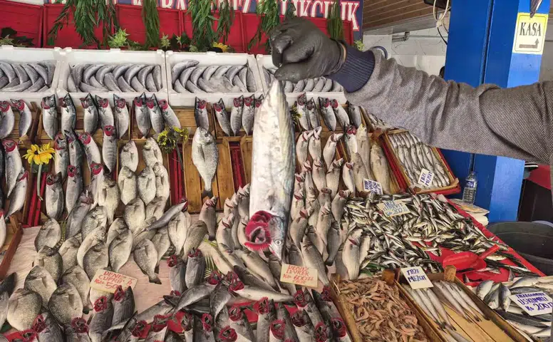 Eskişehir’de balık sezonu başladı: Palamut hamsiyi solladı