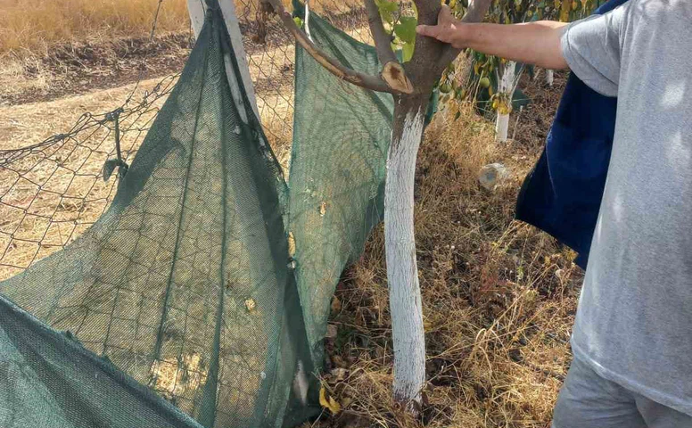 Eskişehir’de bahçe sahipleri şüphelilerin bulunmasını istiyor