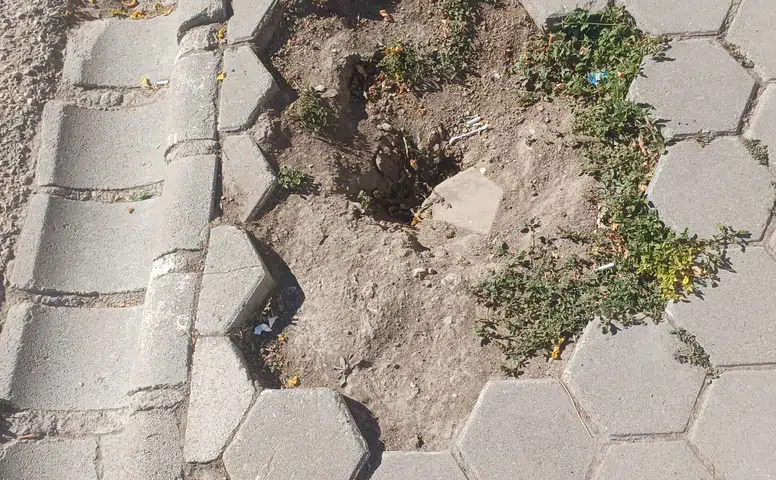Engelli Vatandaşlar Bozulan Kaldırımı Kullanmakta Zorlanıyor