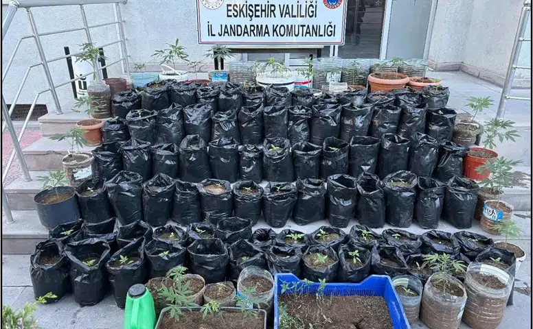 Mahmudiye’de yasaklı madde operasyonu: 1 tutuklama