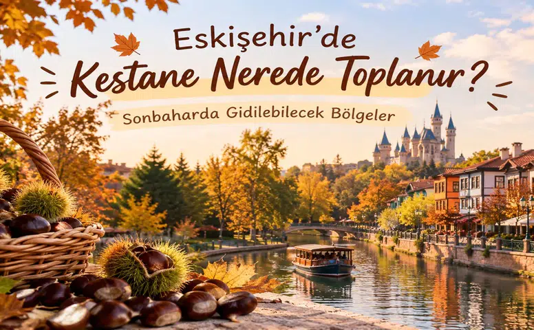 Eskişehir’de Kestane Nerede Toplanır? Sonbaharda Gidilebilecek Bölgeler