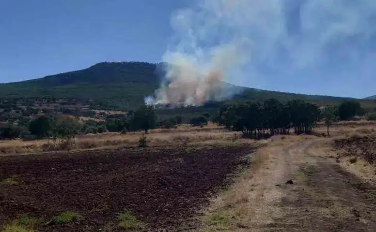 Sivrihisar’da çıkan orman yangınına müdahale sürüyor