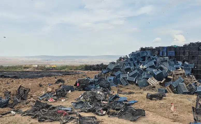 Eskişehir Tepebaşı'nda Binlerce Plastik Kasa Alevlere Teslim Oldu