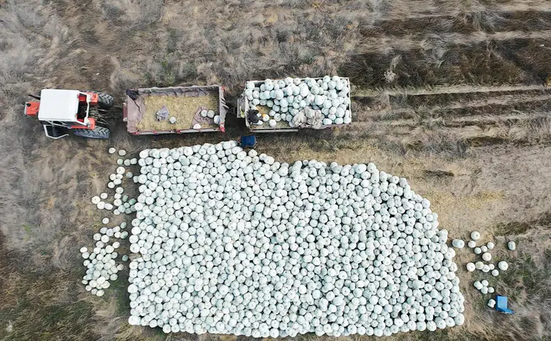 Eskişehir’de Türkiye’nin İlk Bal Kabağı Çalıştayı Yapılacak