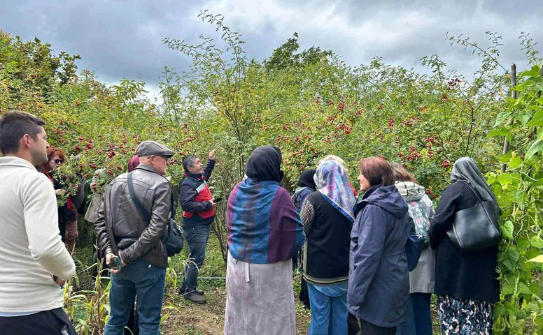 Eskişehirli kadın çiftçiler Kütahya’da üretimi inceledi