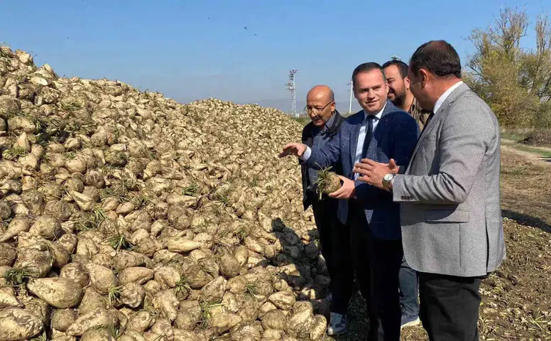 Alpu Kaymakamı Sönmezel Alpu’da Pancar Hasadına Katıldı