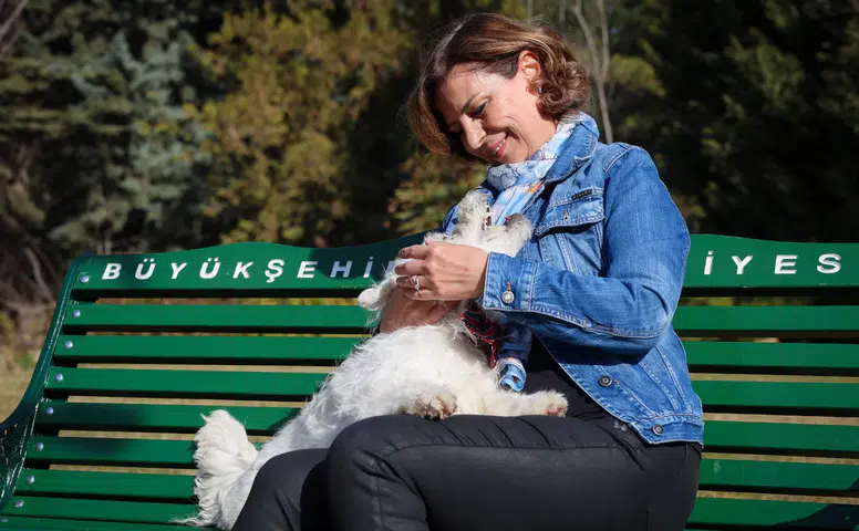 Eskişehir’de 8 Bine Yakın Köpek Koruma Altında