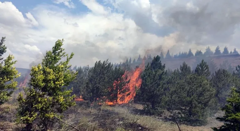 Eskişehir-Kütahya Kara Yolunda Anız Yangını Çıktı