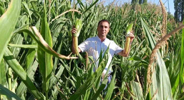 Beylikova'da Hasat Öncesi Kontroller Tamamlandı