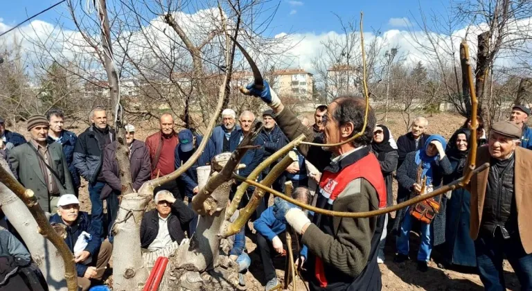 Çiftçiye Budama ve Aşılama Eğitimi