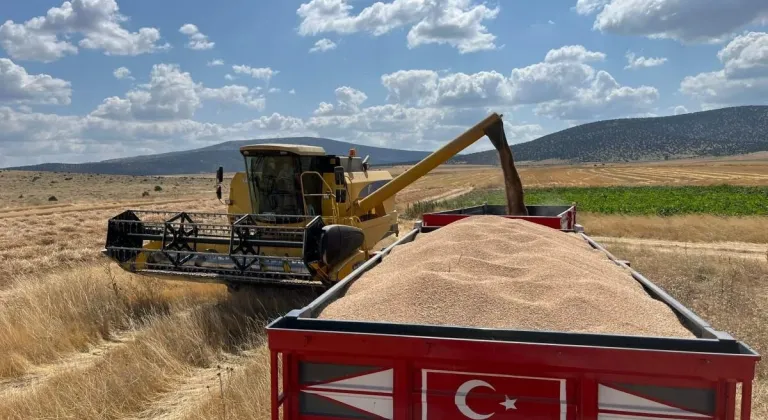 Eskişehir Çifteler İlçesinin Yüksek Verimli Hasadı