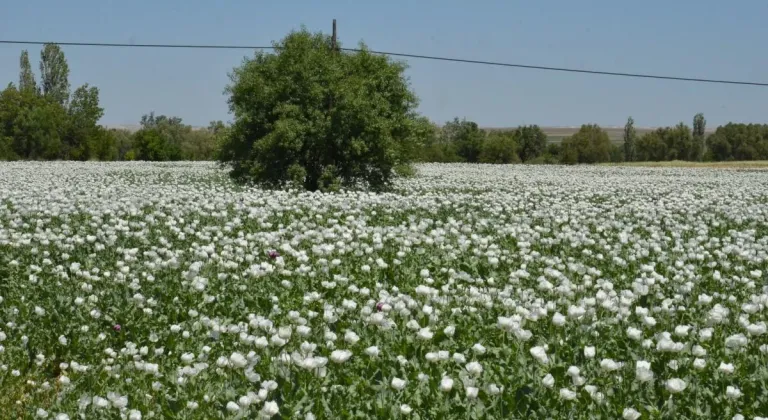 Eskişehir Günyüzü Bu Manzaraya Hasret Kaldı