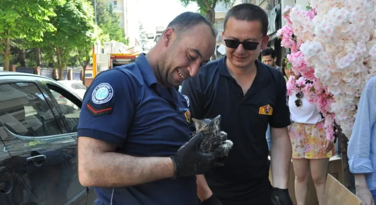 Eskişehir’de Aracın Altına Sıkışan Yavru Kedi Kurtarıldı