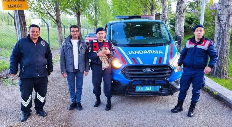 Eskişehir’de Bulunan Yaralı Şahin Tedavi Ettirildi