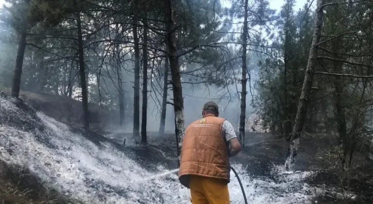 Eskişehir’de Çıkan Yangın Söndürüldü