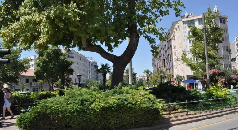 Eskişehir’de Dalı Enerji Tellerine Devrilen Ağaç Budandı